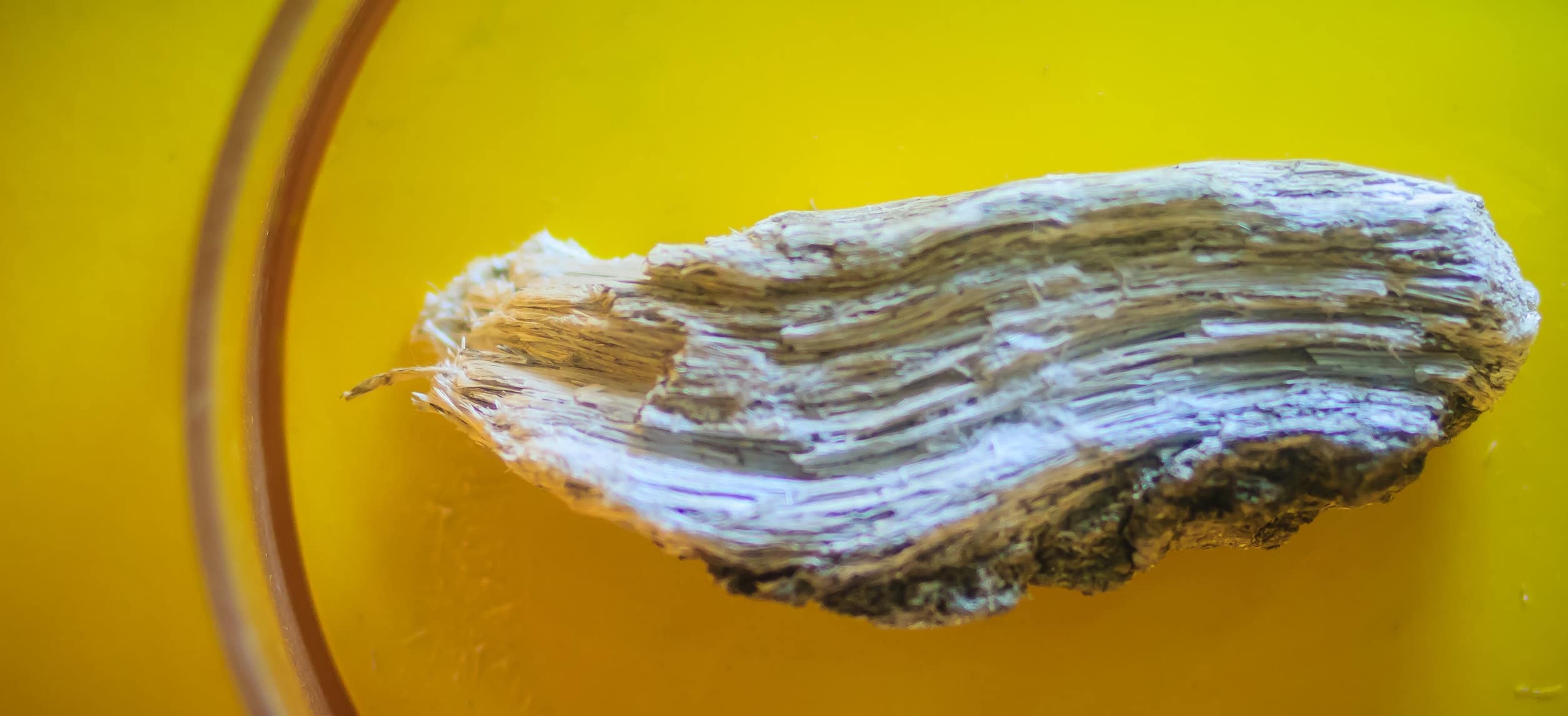 Amphibole silicate mineral that commonly found in metamorphic rocks
